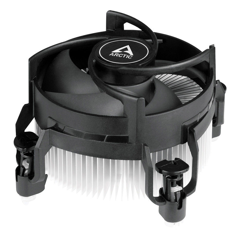 Arctic Alpine 17 / ACALP00040A