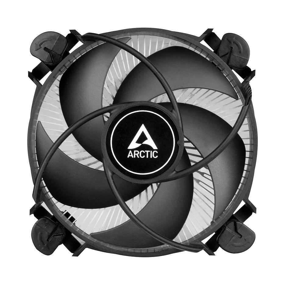 Arctic Alpine 17 / ACALP00040A