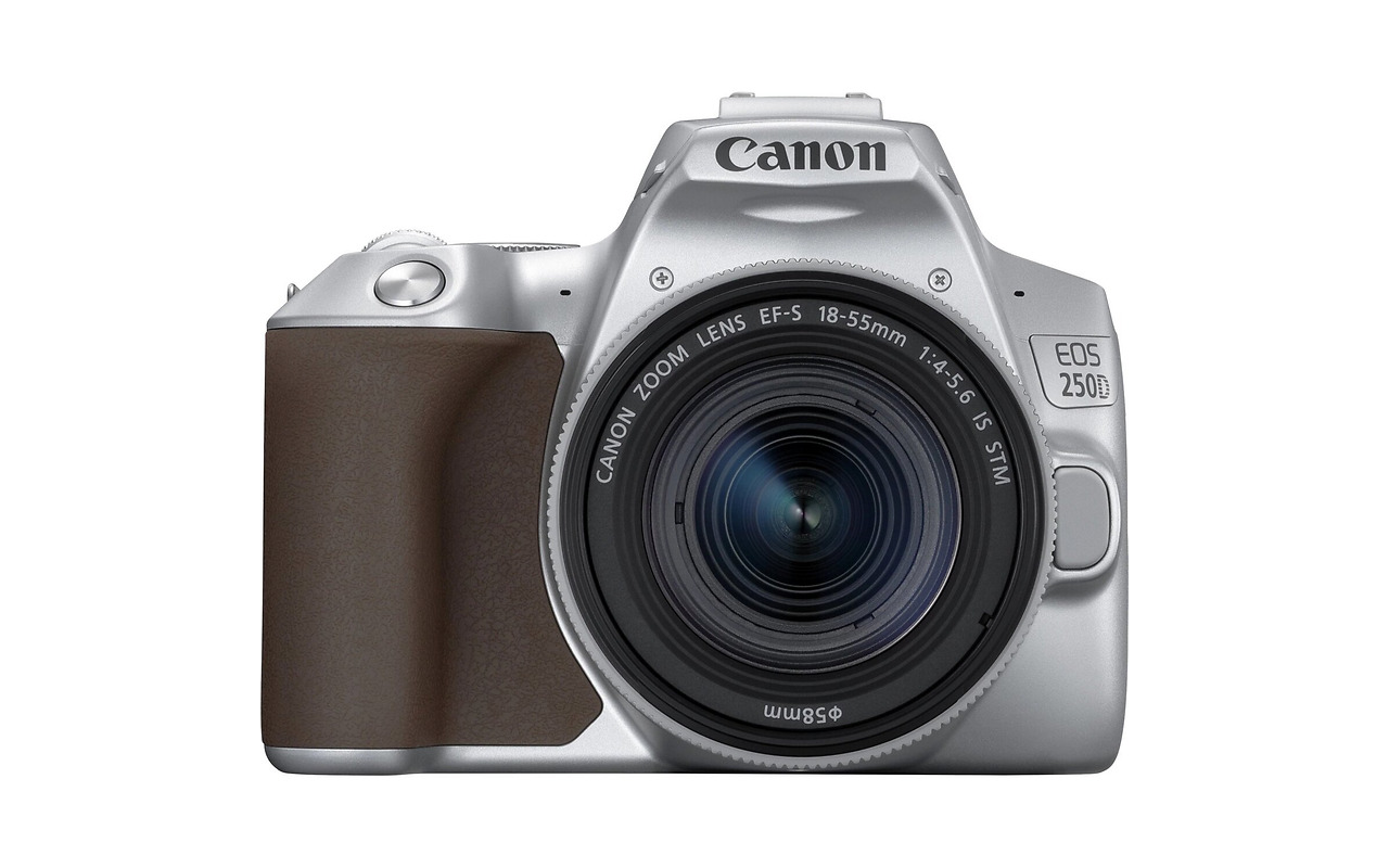 Canon EOS 250D + EF-S 18-55mm 3.5-5.6 IS STM / SILVER