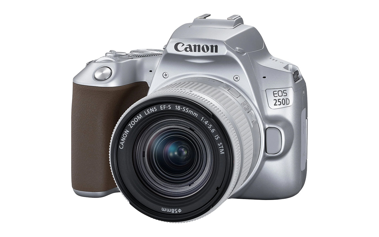 Canon EOS 250D + EF-S 18-55mm 3.5-5.6 IS STM / SILVER