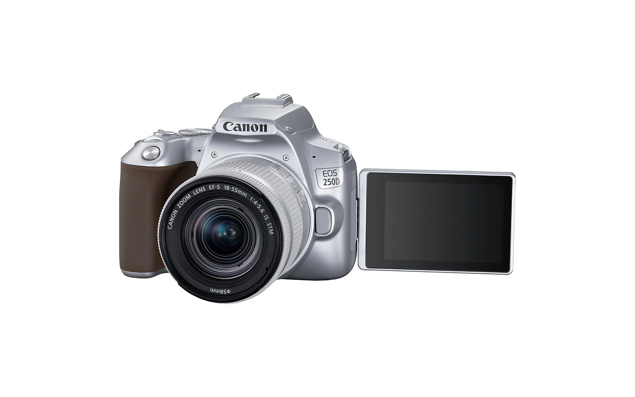 Canon EOS 250D + EF-S 18-55mm 3.5-5.6 IS STM / SILVER