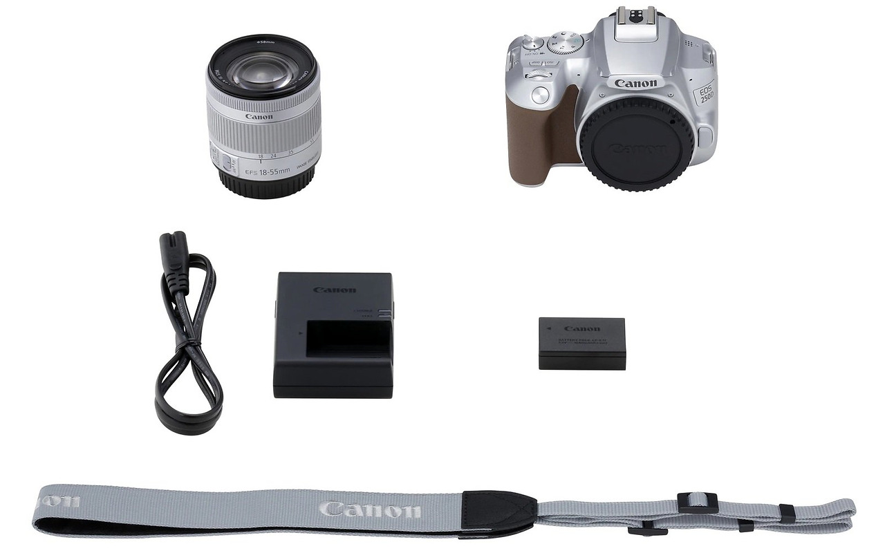 Canon EOS 250D + EF-S 18-55mm 3.5-5.6 IS STM / SILVER