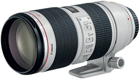 Canon EF 70-200mm f/4 L IS II USM