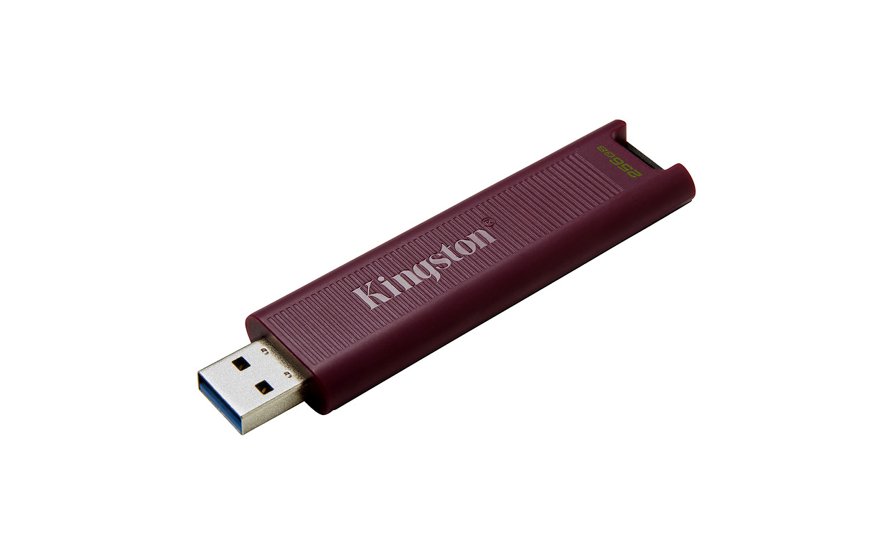 Kingston DataTraveler Max / DTMAXA/256GB