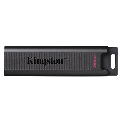 Kingston DataTraveler Max DTMAX/256GB