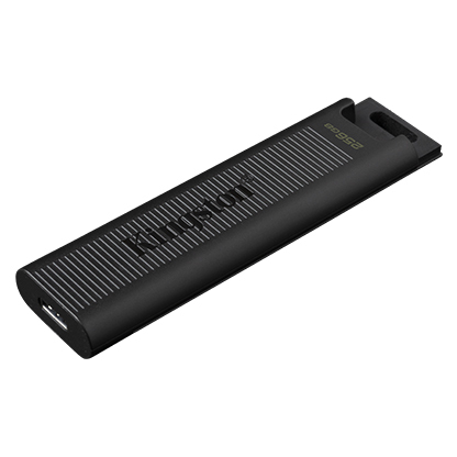 Kingston DataTraveler Max DTMAX/256GB