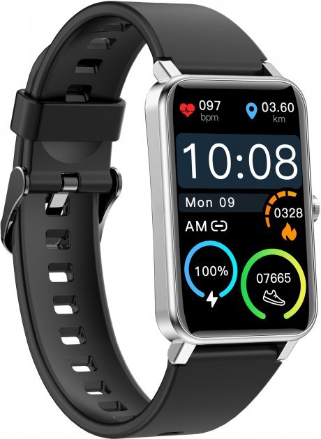 Globex Fit Silver