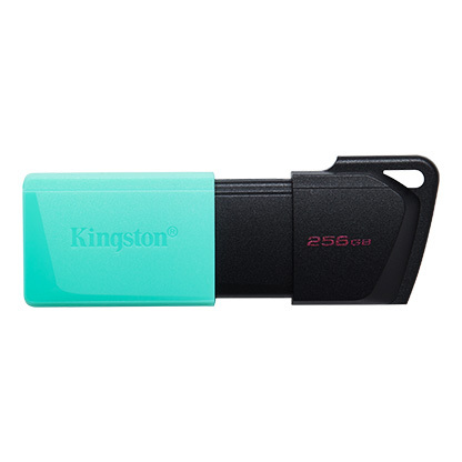 Kingston DataTraveler Exodia M DTXM/256GB