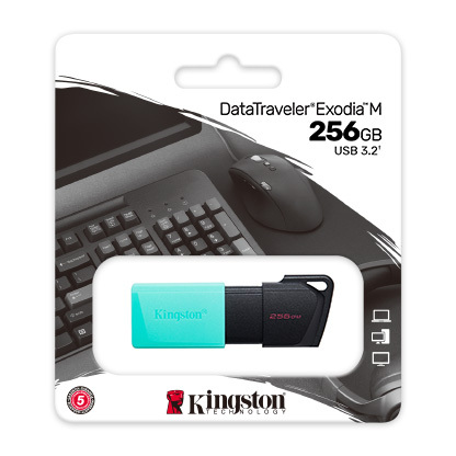 Kingston DataTraveler Exodia M DTXM/256GB