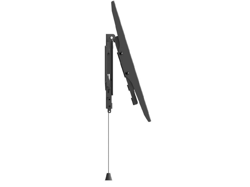 Hama FIX Professional / 118073