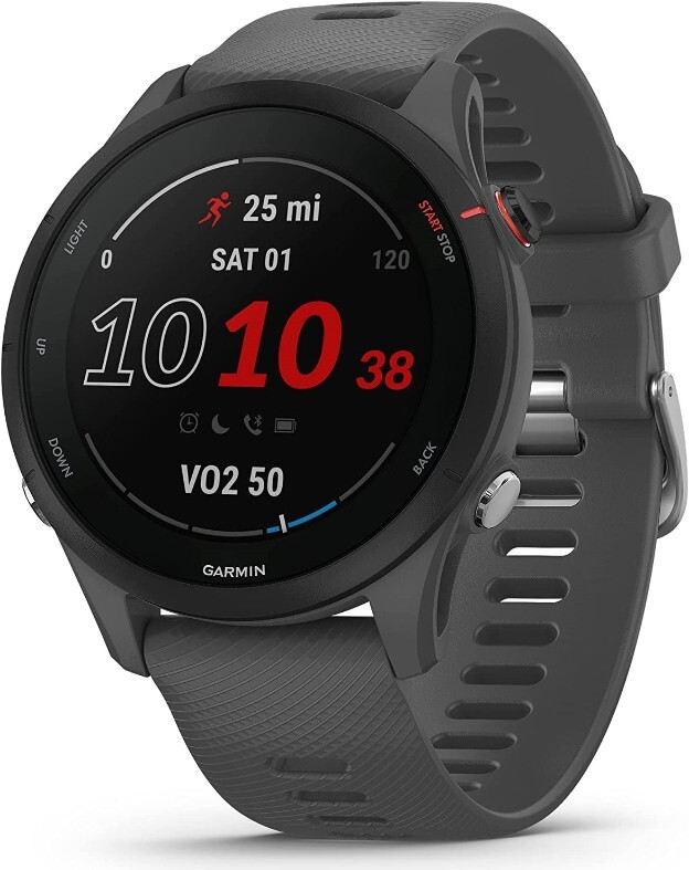 Garmin Forerunner 255 / 010-02641 Grey