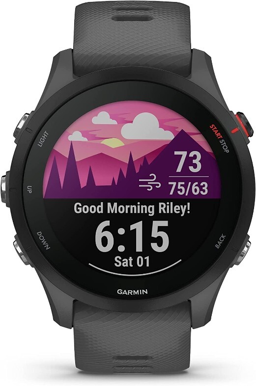 Garmin Forerunner 255 / 010-02641 Grey