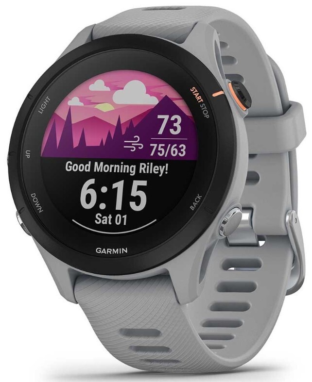 Garmin Forerunner 255S / 010-02641 Grey