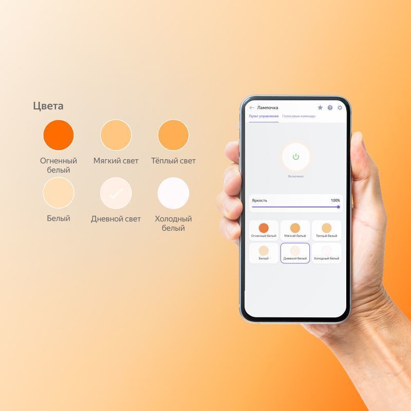 Yandex YNDX-00501 E27