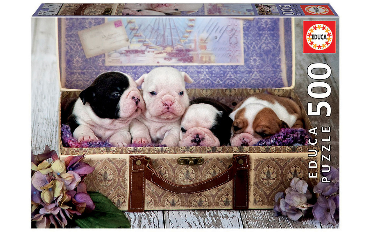 EDUCA Puppies 500