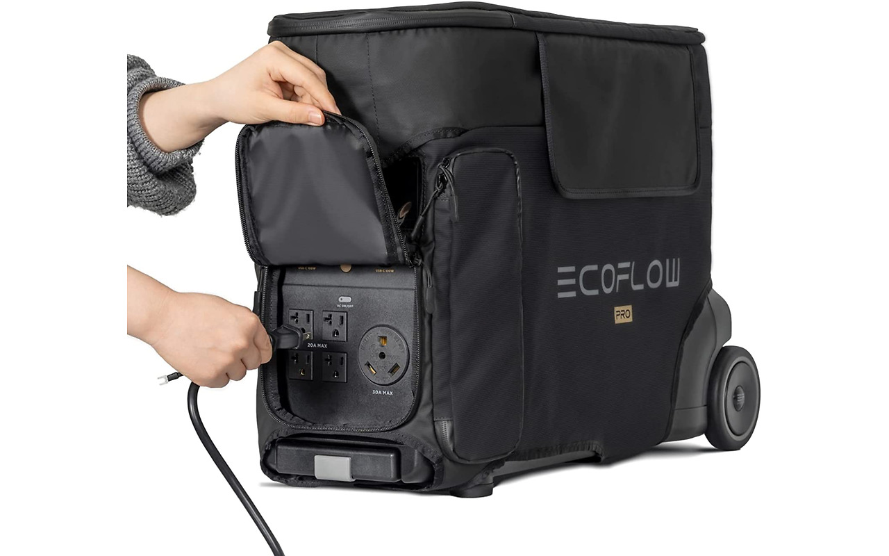 EcoFlow Bag for DELTA PRO