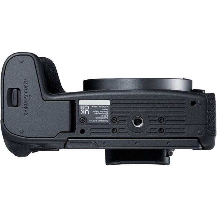 Canon EOS R8 & RF 24-50mm f/4.5-6.3 IS STM KIT