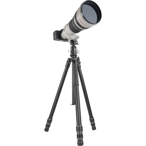 Vanguard VEO3 303AB