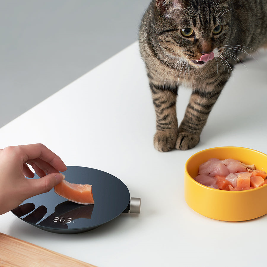 Xiaomi HOTO Smart Kitchen Scale / QWCFC001