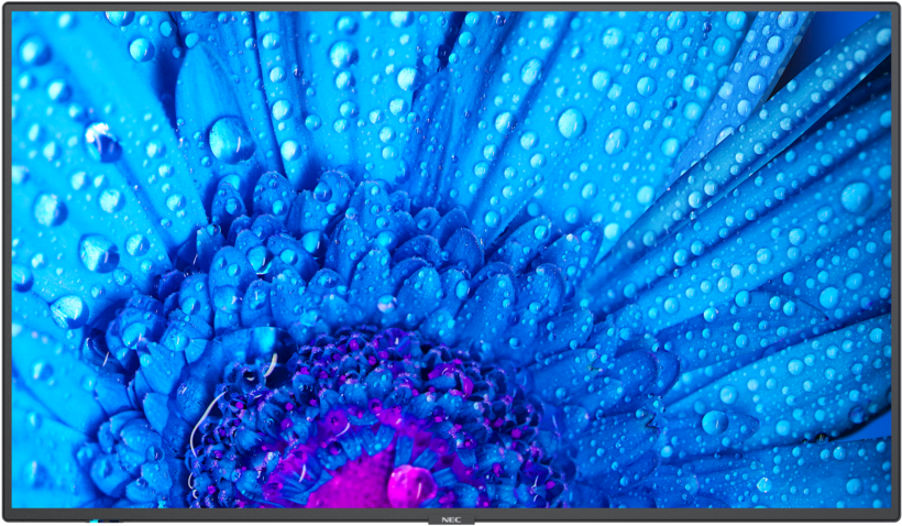 NEC M651 / 65 UHD E-LED