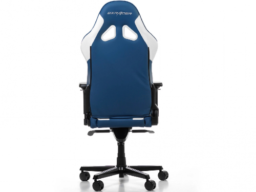 DXRacer GLADIATOR-N23-L-BW-LTC-X1