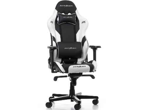 DXRacer GLADIATOR-N23-L-NW-LTC-X1