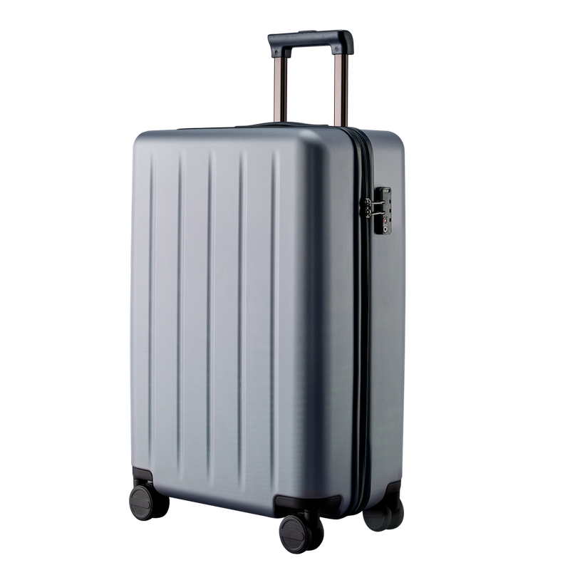 NINETYGO Danube luggage 24 Grey