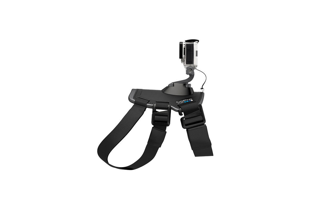 GoPro ADOGM-001 / Dog Harness