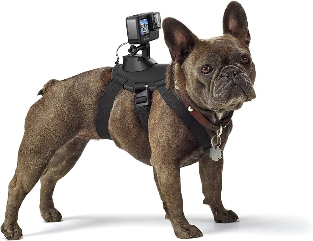 GoPro ADOGM-001 / Dog Harness