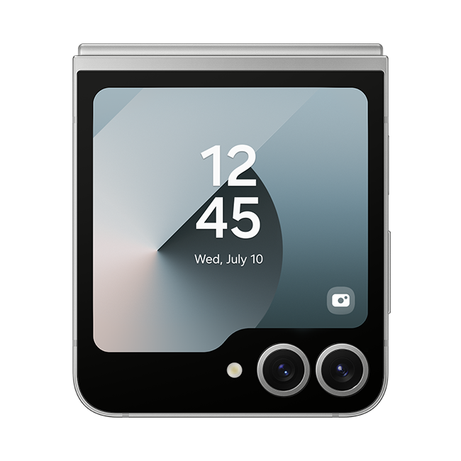 Samsung Galaxy Flip6 / 6.7 Foldable AMOLED 120Hz / Snapdragon 8 Gen 3 / 12GB / 512GB / 4000mAh Silver