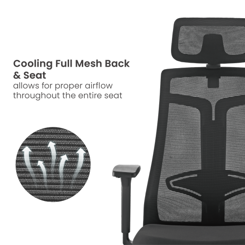 Lumi CH05-40 / Ergonomic Office Chair