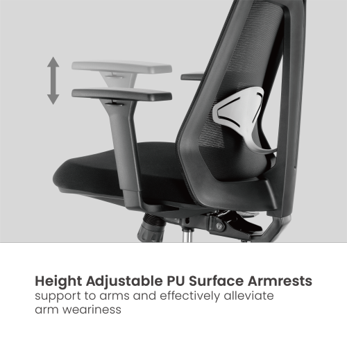 Lumi CH05-40 / Ergonomic Office Chair