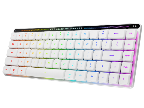 ASUS ROG Falchion RX