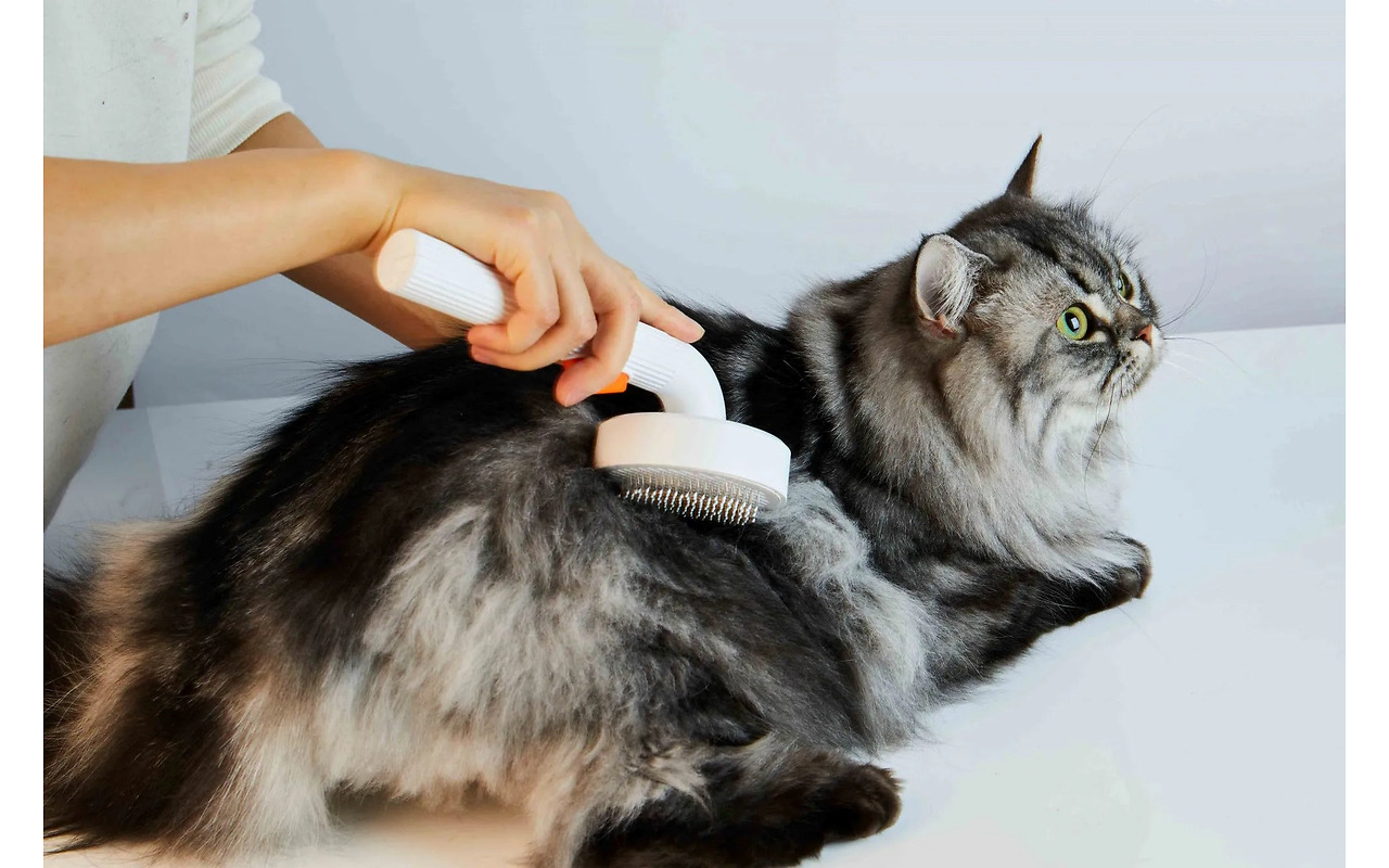 PETKIT Pet Grooming Brush 2