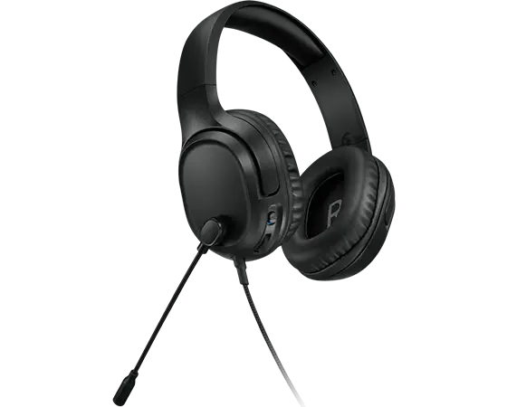 Lenovo H110 / GXD1P46879