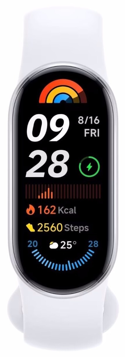 Xiaomi Smart Band 9 Silver