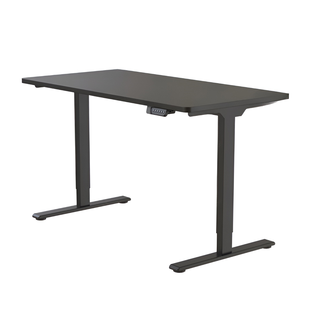 FlexiSpot Adjustable Desk ET262