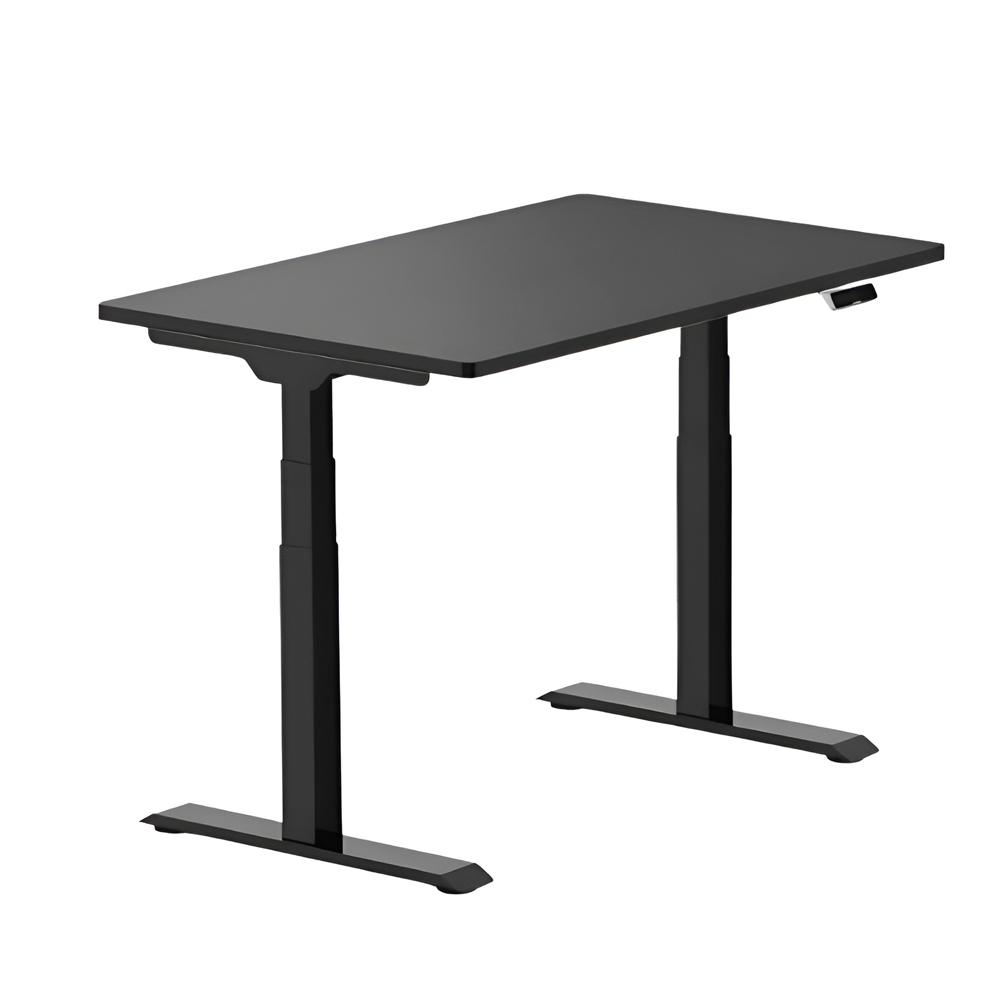 FlexiSpot Adjustable Desk ET223 / Black