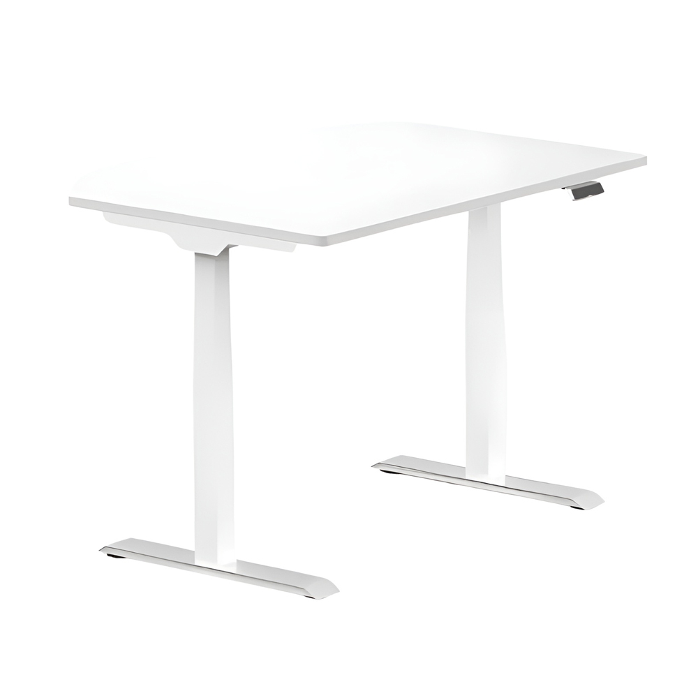 FlexiSpot Adjustable Desk ET223 / White