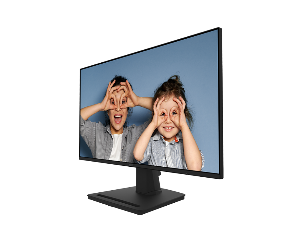 MSI PRO MP252 / 24.5 IPS FullHD 100Hz