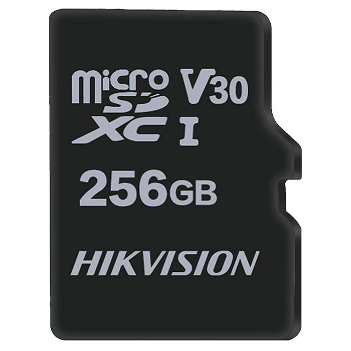 HIKVISION HS-TF-C1/256G / 256GB MicroSD