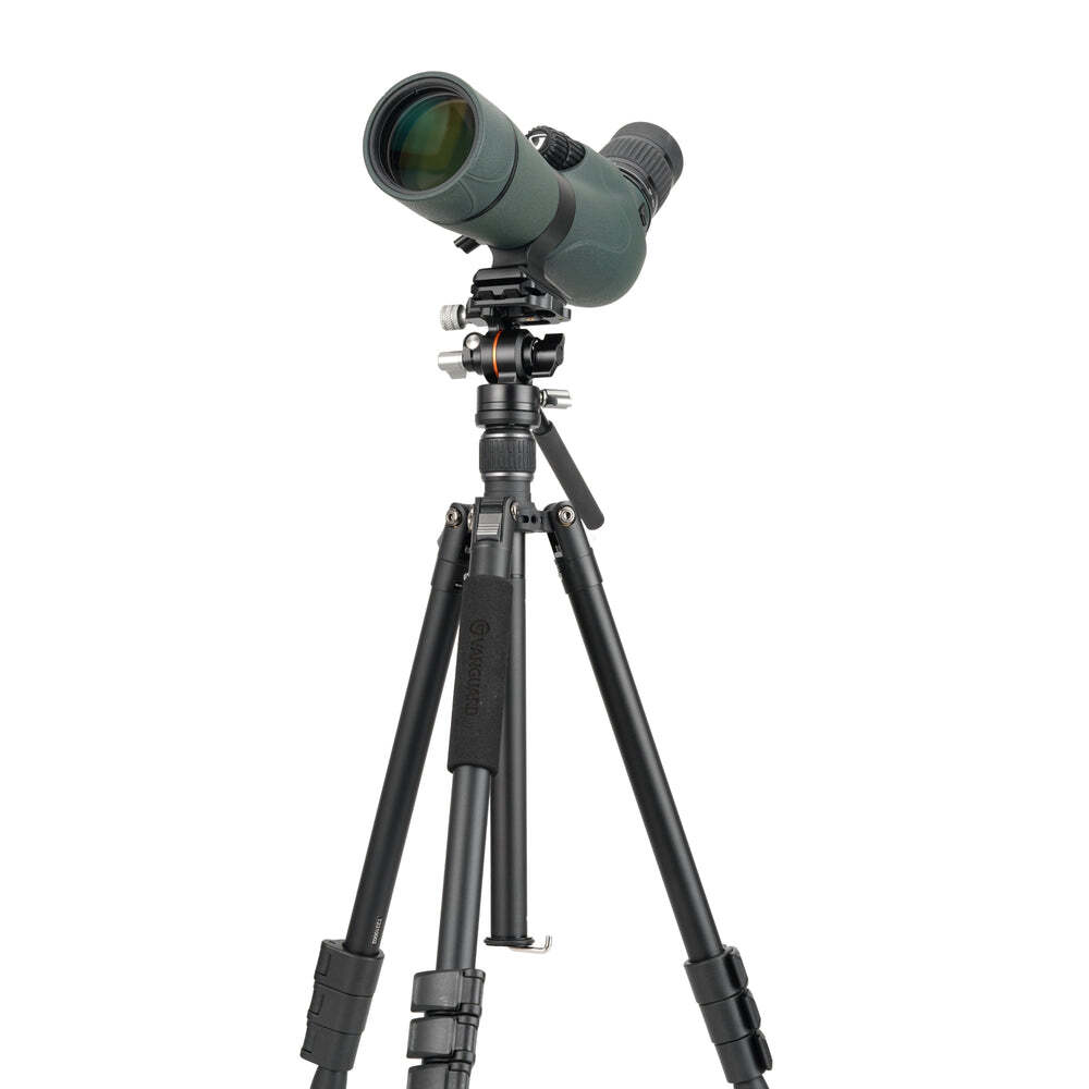 Vanguard VESTA GO 264AV12