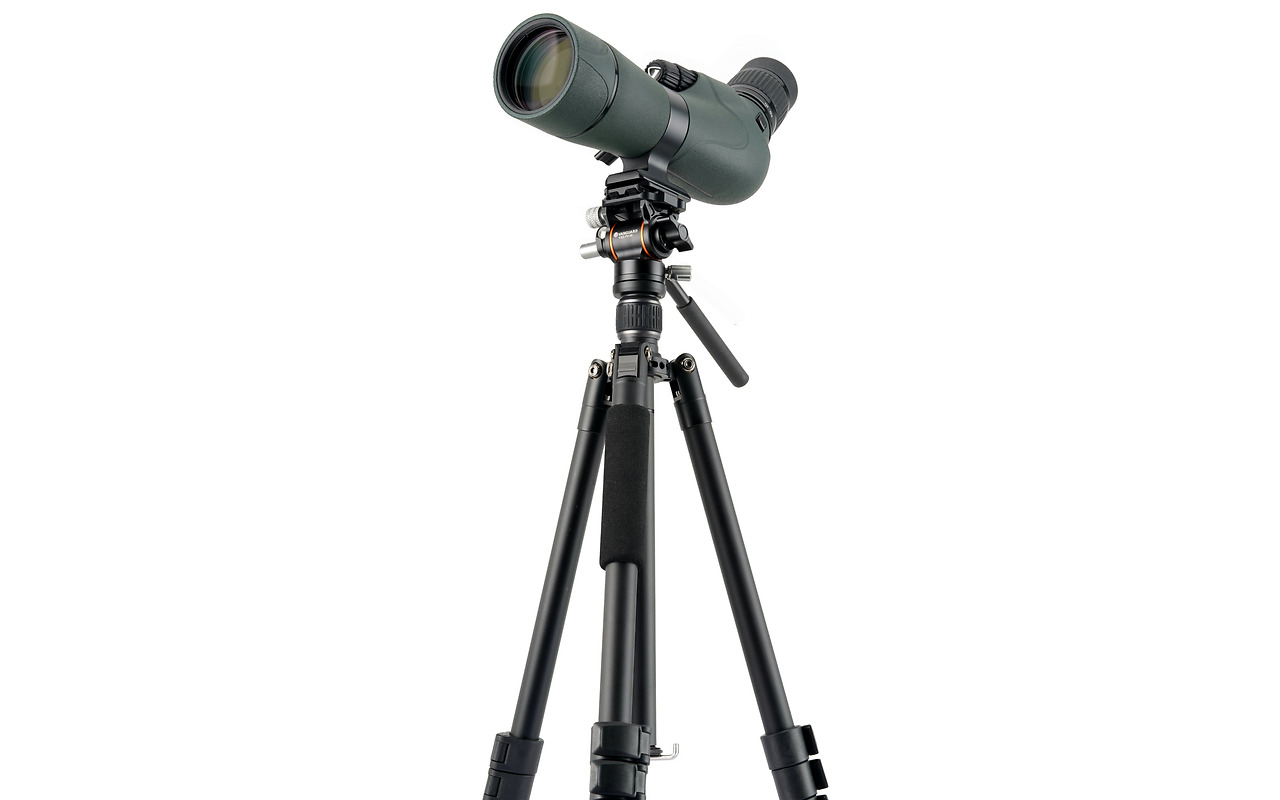 Vanguard VESTA GO 234AV10