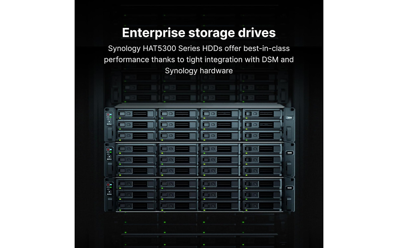 Synology HAT5310-20T