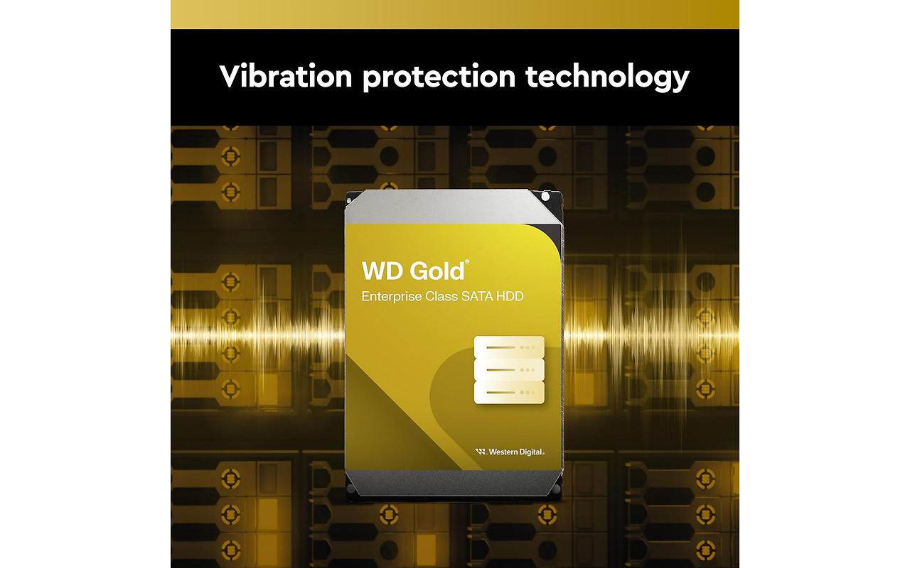 WesternDigital GOLD WD103KRYZ 10TB