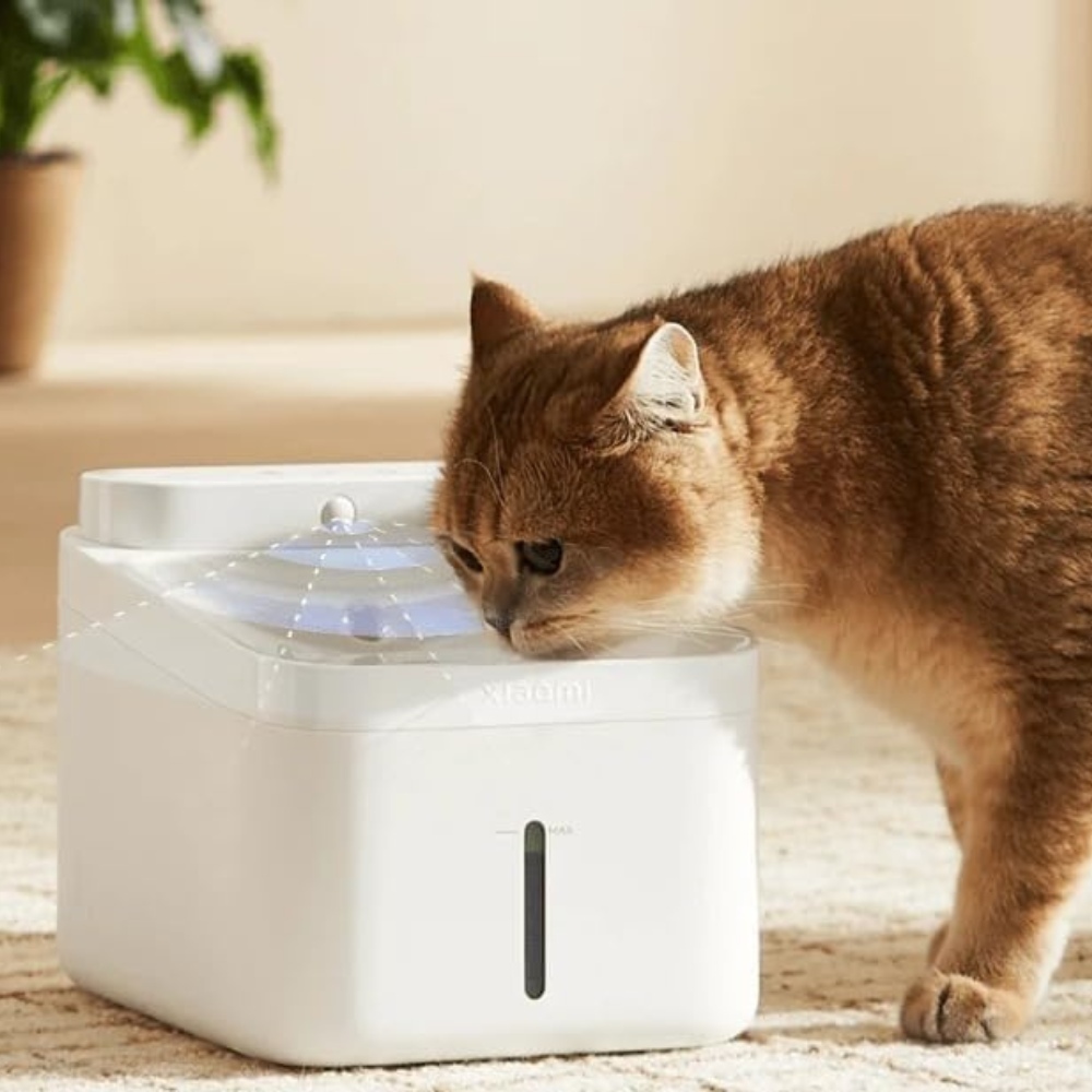 Xiaomi Smart Pet Fountain 2