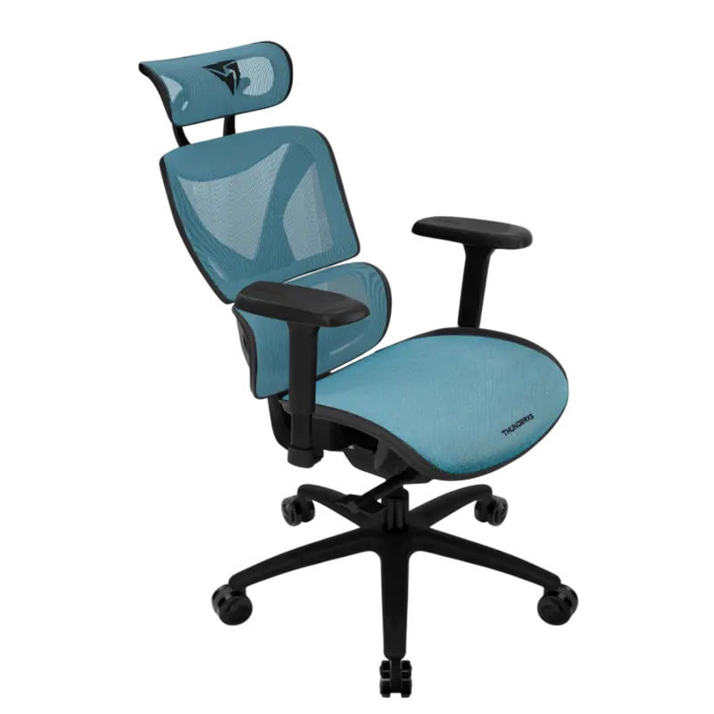 ThunderX3 XTC Chroma Black