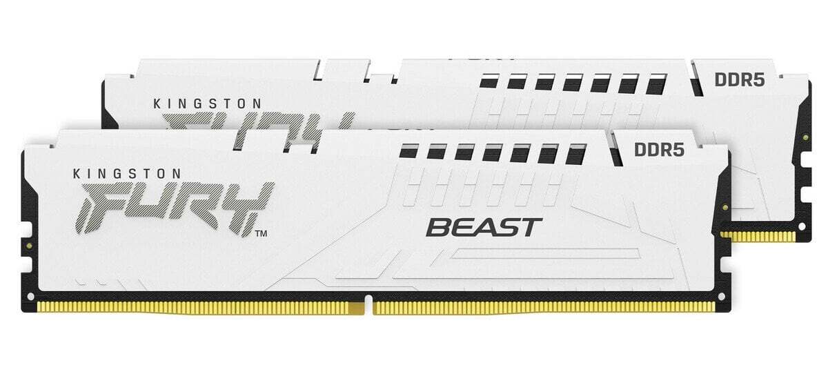 Kingston FURY Beast DDR5 White EXPO KF556C36BWEK2-32
