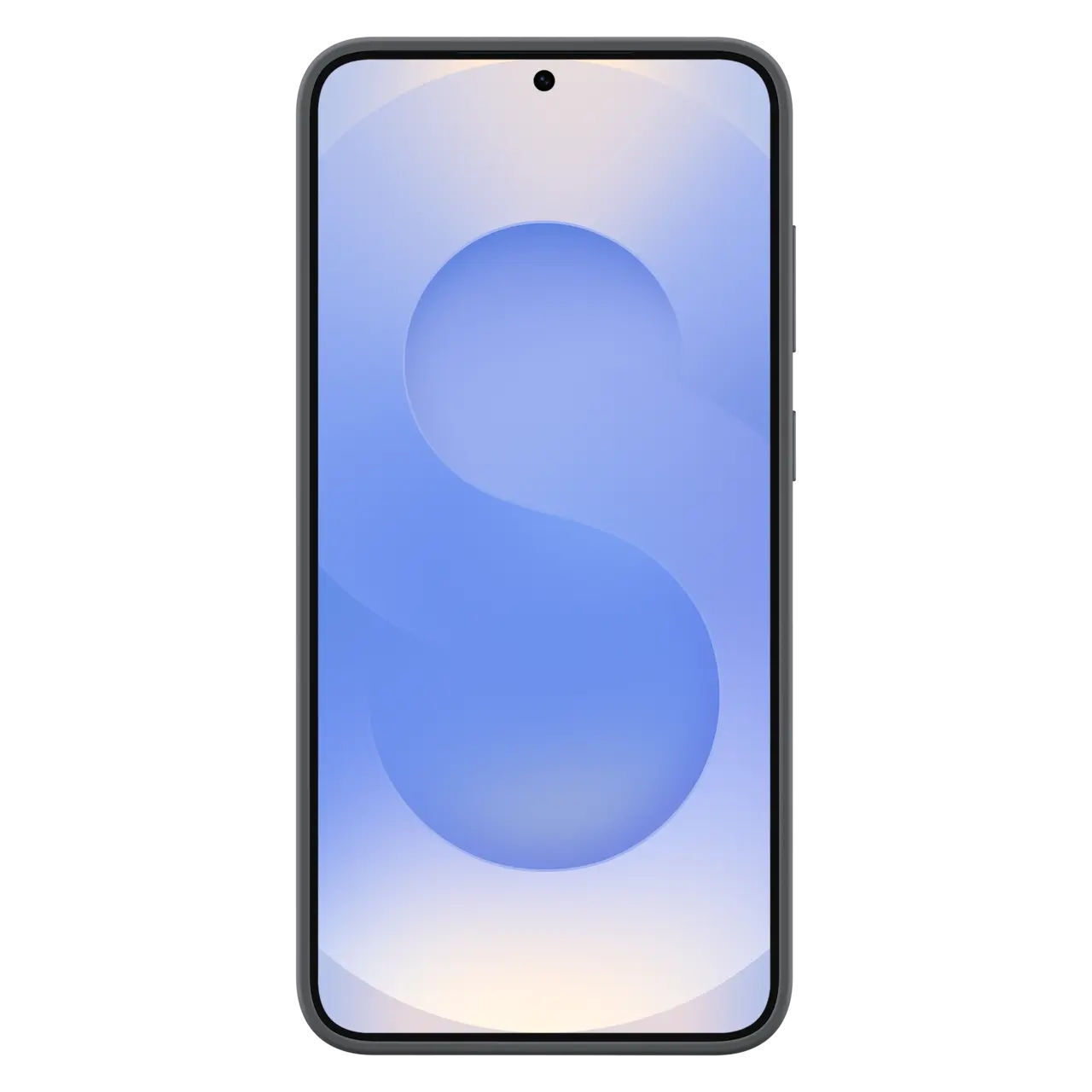 Samsung Original silicone cover Galaxy S25+ Black