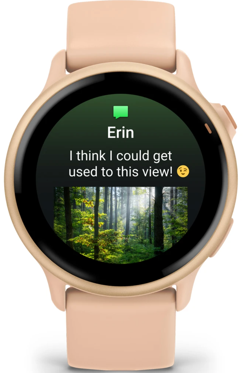 Garmin Vivoactive 6 / 010-02985-03